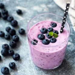 Fast Growing Trees Blueberry Bushes Tifblue Blueberry Bush 12 Fast Growing Trees Blueberry Bushes Tifblue Blueberry Bush