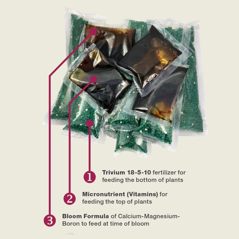 Fast Growing Trees Tropical Fruit Tree Care Kit 7 Fast Growing Trees Tropical Fruit Tree Care Kit