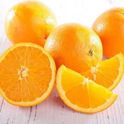 Fast Growing Trees Citrus Trees Trovita Orange Tree