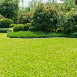 Fast Growing Trees TurboTurf™ Bermudagrass Seed Erosion Control 9 Fast Growing Trees TurboTurf™ Bermudagrass Seed Erosion Control