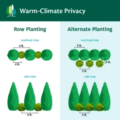 Fast Growing Trees See All House & Patio Warm-Climate Privacy Kit