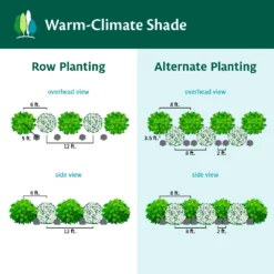 Fast Growing Trees Full Landscape Kits For Any Climate Warm-Climate Shade Garden Kit