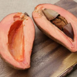 Fast Growing Trees Mamey Fruit Tree (Sapote) Tropical Fruit Trees