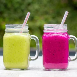 Fast Growing Trees Avocado Trees Smoothie Kit 17 Fast Growing Trees Avocado Trees Smoothie Kit