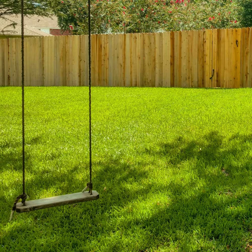 Fast Growing Trees Erosion Control TurboTurf™ Sun & Shade Grass Seed 5 Fast Growing Trees Erosion Control TurboTurf™ Sun & Shade Grass Seed