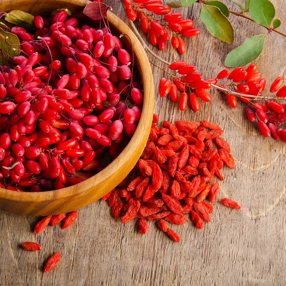 Fast Growing Trees See All Fruit Trees Sweet Lifeberry® Goji Berry 8 Fast Growing Trees See All Fruit Trees Sweet Lifeberry® Goji Berry